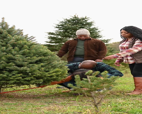 长沙如何代生,长沙中信湘雅医院做第三代试管婴儿费用？-深圳可以做供卵试管