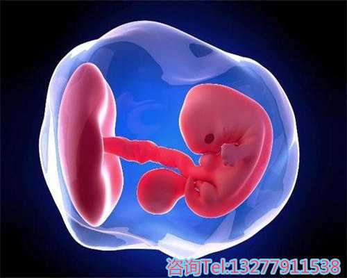 红豆黑豆红枣豆浆备孕