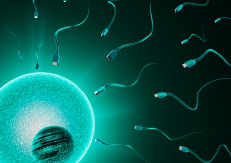 湖南添宝儿做试管可以选性别吗？,湖南试管有用吗