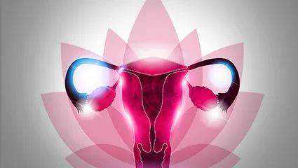 长沙哪家代生好,2026年长沙中信湘雅医院做供卵试管要排队多久？附申请供卵条