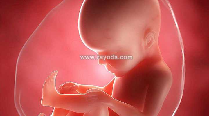 代孕包性别套餐_哪有供卵机构_做试管婴儿对精子质量有什么要求？