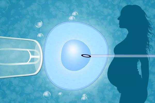 珠海合法供卵试管|试管婴儿对比人工授精，做试管一定会成功吗？